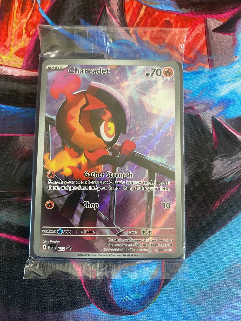 Pokémon- Charcadet Sealed Promo